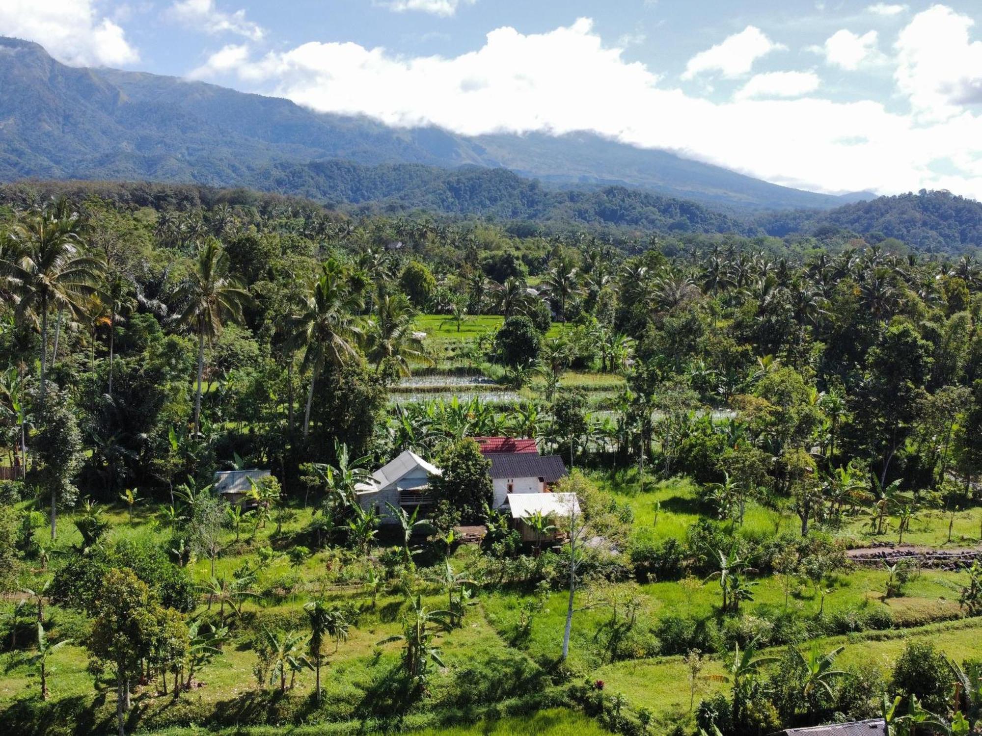 Asan Rinjani Homestay Tetebatu Zimmer foto